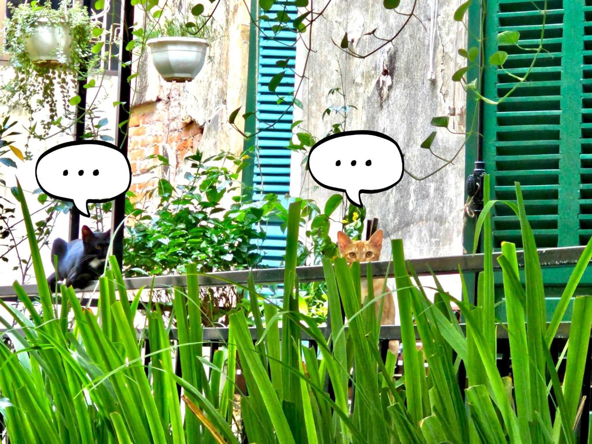 Azalea Apartment Hanoi Exterior foto