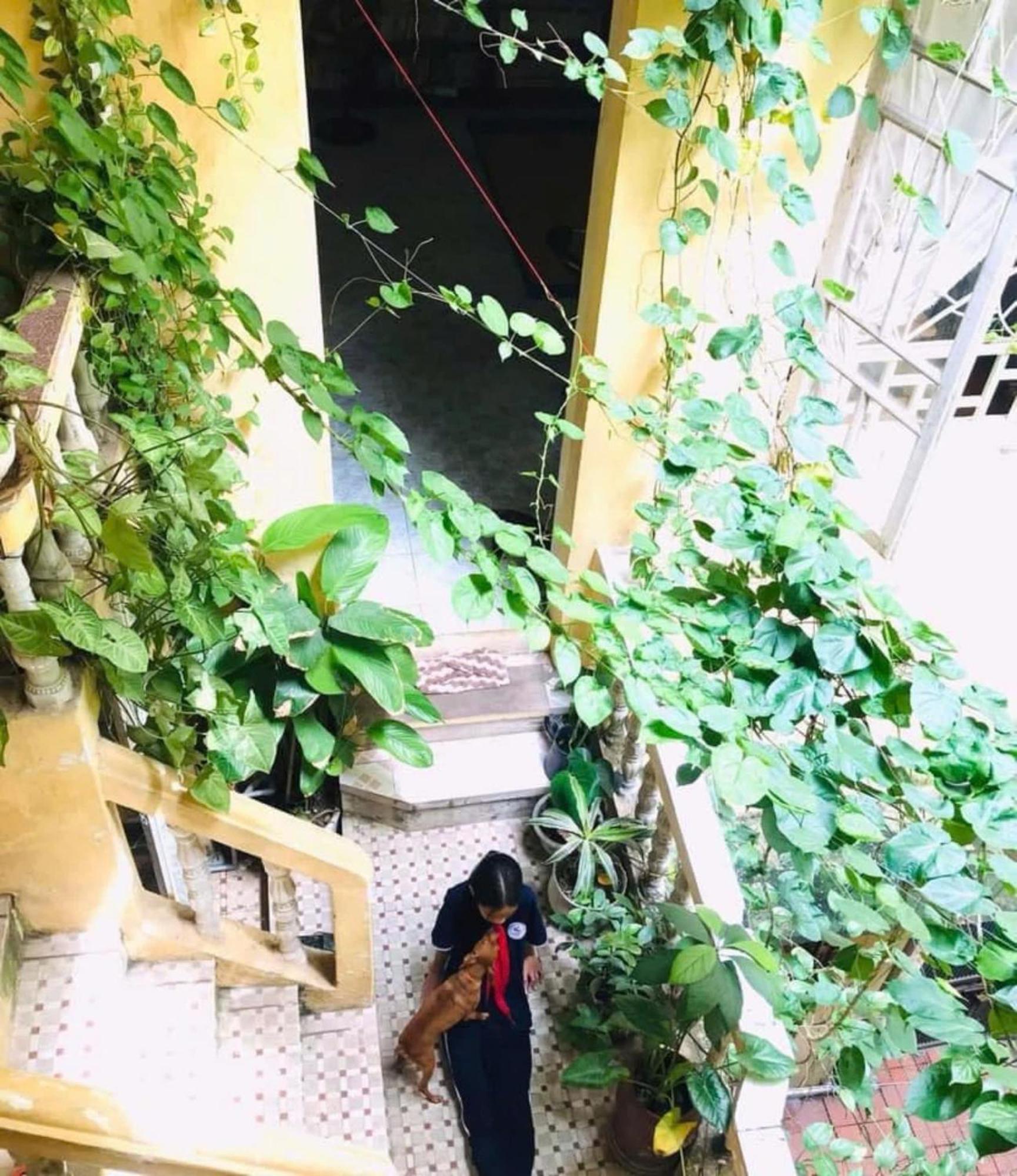 Azalea Apartment Hanoi Exterior foto